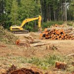 Carlos Eduardo Moraes Nunes