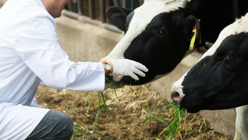 Gestão rural estratégica é o segredo para produtividade sustentável e resultados consistentes, destaca Aldo Vendramin.