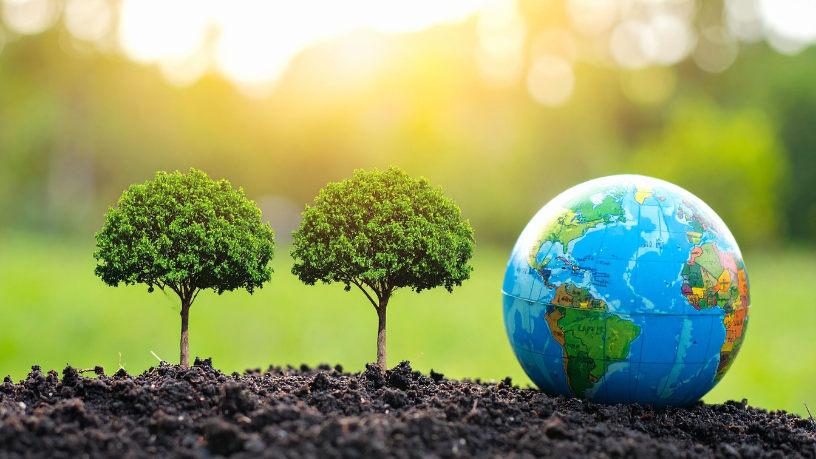 Formar cidadãos conscientes sobre o impacto de suas ações no meio ambiente é parte do compromisso da Versa Engenharia Ambiental Ltda com um futuro mais equilibrado e responsável.